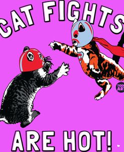 Cat Fights Are Hot