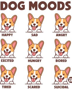 Dog Moods