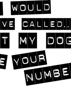 My Dog Ate Your Number