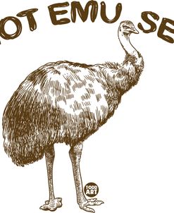Not Emused Emu
