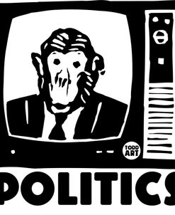 Politics Tv Monkey