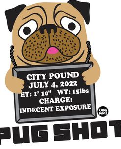 Pug Shot Arrest