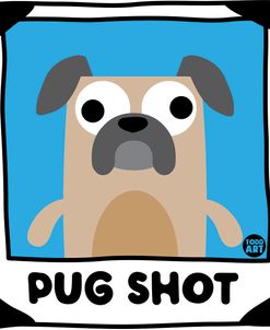 Pug Shot Pug