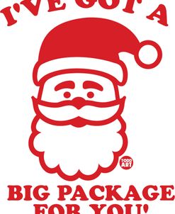 Santa Big Package