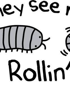 See Me Rollin Pillbug