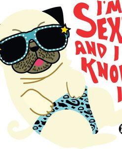 Sexy And Know It Pug