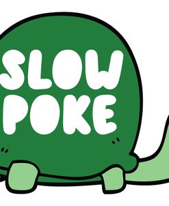 Slow Poke Turtle