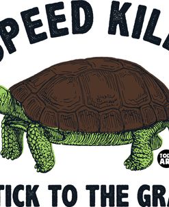 Speed Kills Grass Turtle