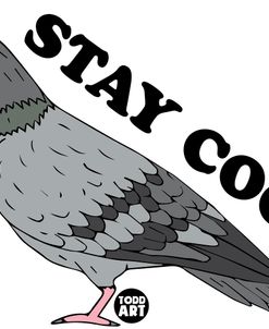 Stay Coo Pigeon