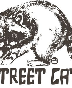 Street Cat Raccooon