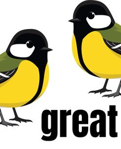Great Tits Birds