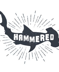 Hammered Shark