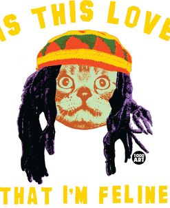 Is This Love I’m Feline Bob Marley