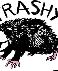 Trashy Possum