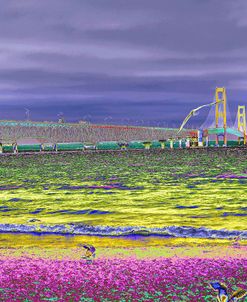 _DSC0158