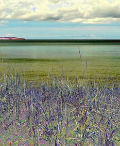 _DSC0226
