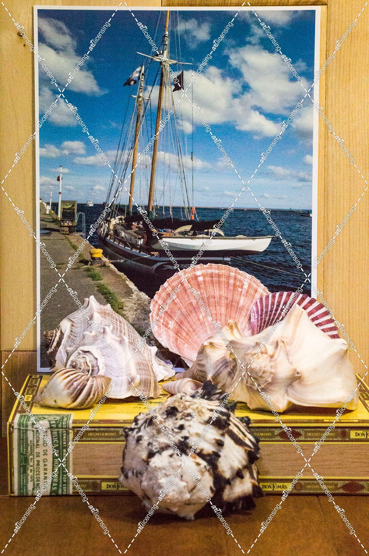 Sailboat shell collection, cigar box