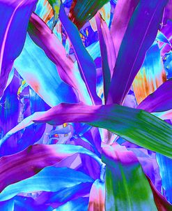 _DSC0122