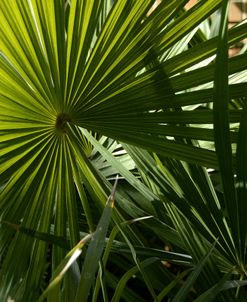 _DSC0004
