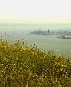 _DSC0363