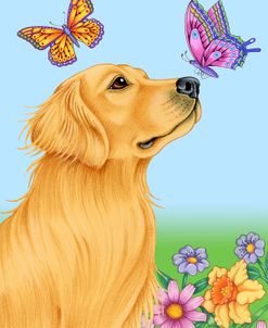 Butterfly And Dog