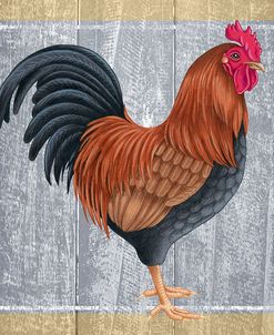 Chicken 1