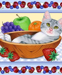 Fruit Bowl Kitten