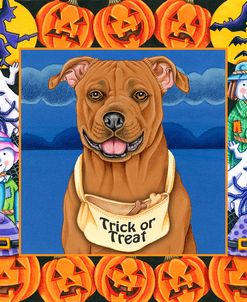 Halloween Pitbull