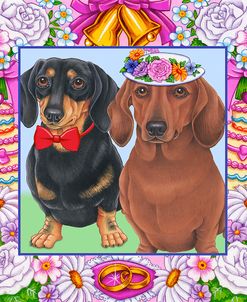 Wedding Dachsunds