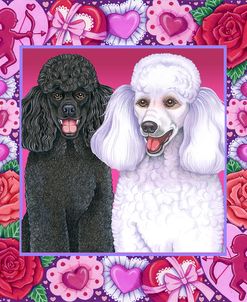 Valentine Poodles