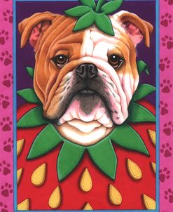 Bulldog Strawberry