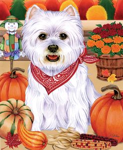 Harvest Westie