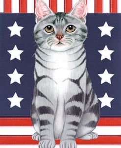 Patriot Cat
