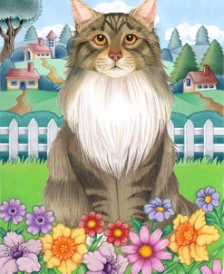 Spring Maine Coon