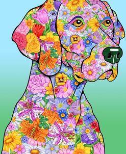 Flowers Weimaraner