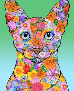 Flowers Siamese Cat