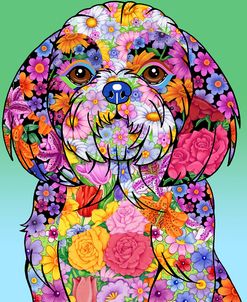 Flowers Shih Tzu