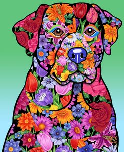 Flower Black Lab