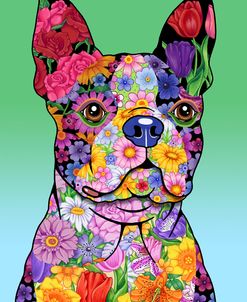 Flowers Boston Terrier