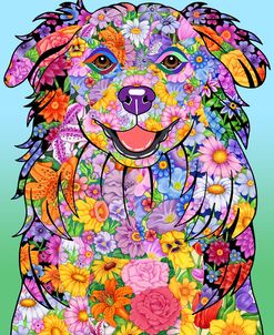 Flowers Australian Shepherd