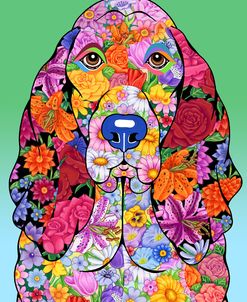 Flowers Basset Hound