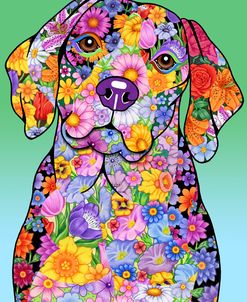 Flowers Beagle