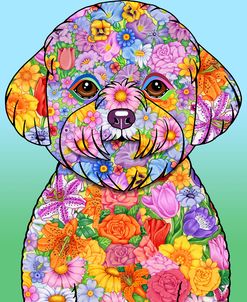 Flowers Bichon Frise