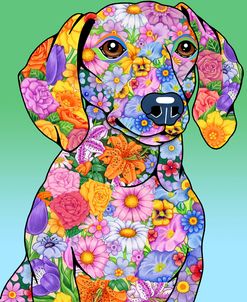 Flowers Dachshund