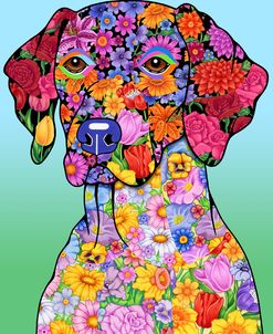 Flowers German Pointer