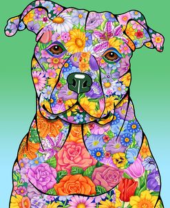 Flowers Pitbull