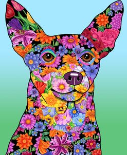Flowers Minpin