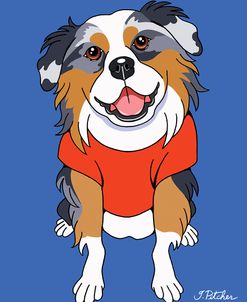Australian Shepherd