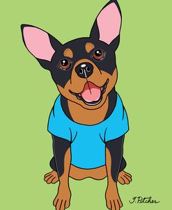 Miniature Pinscher