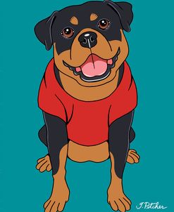 Rottweiler